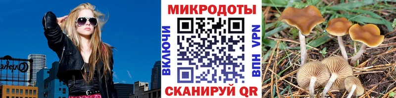 Галлюциногенные грибы Cubensis  Купить  Назарово 